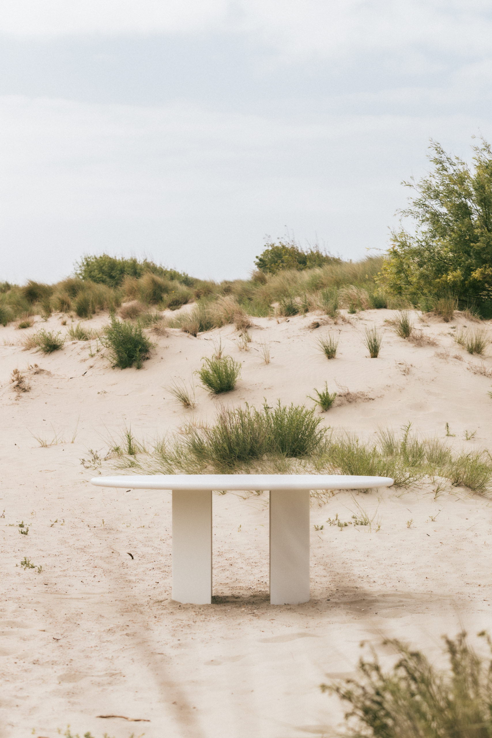 TDS DUINBERGEN 261 scaled