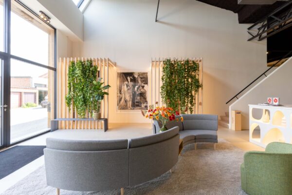 Toon De Somer - Showroom 2 Toon De Somer - Showroom 2