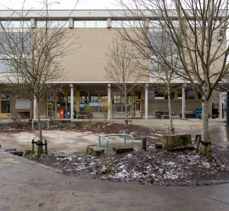 TDS Lutgardis BXL 14