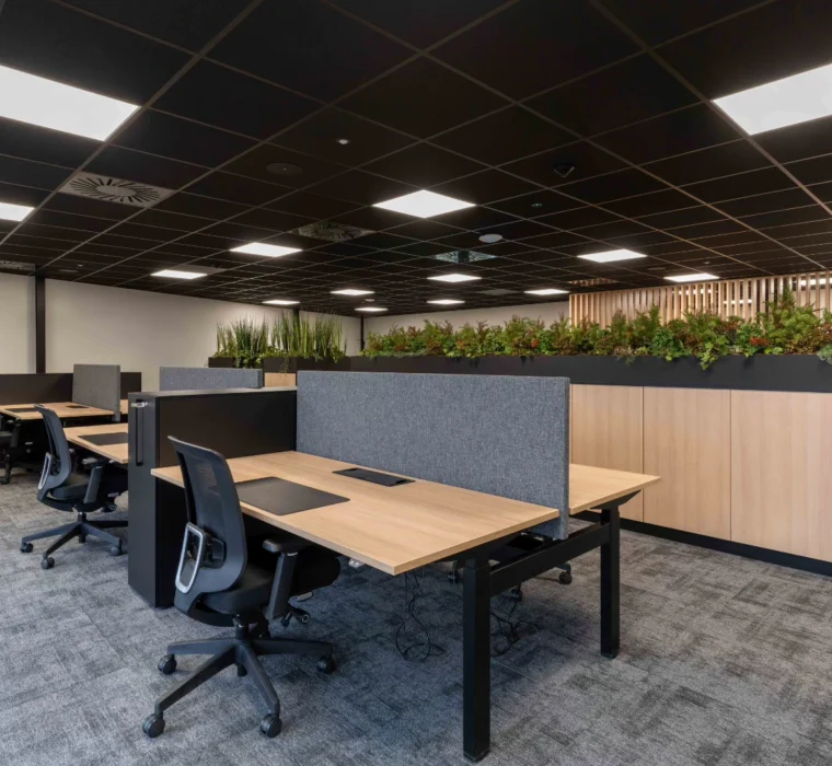 Toon De Somer - Altec 2 Toon De Somer Altec 2