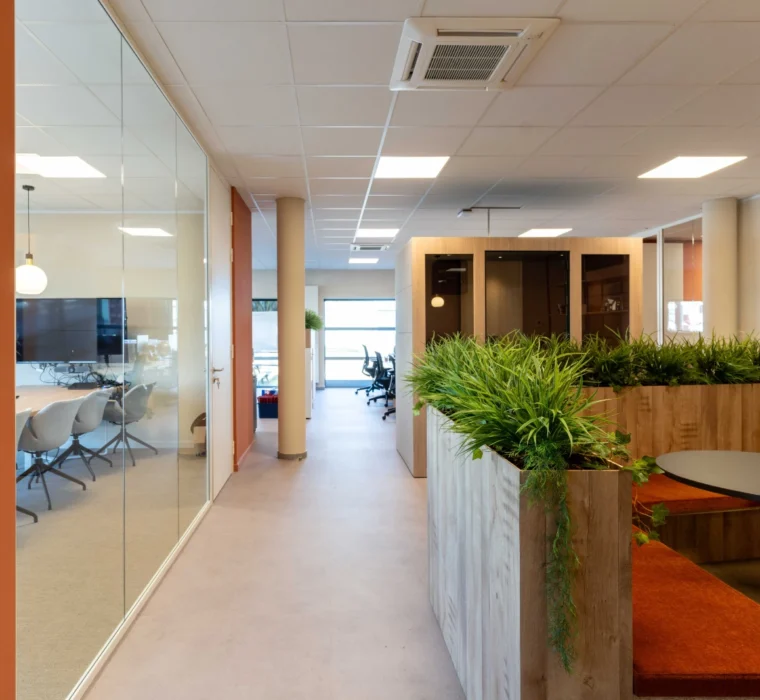 Toon De Somer Casibeans 02