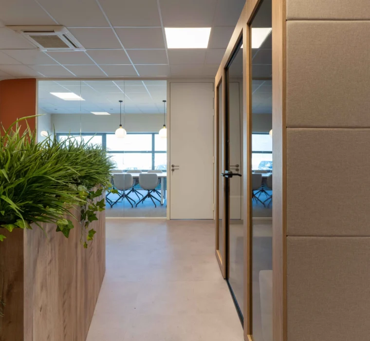 Toon De Somer Casibeans 06