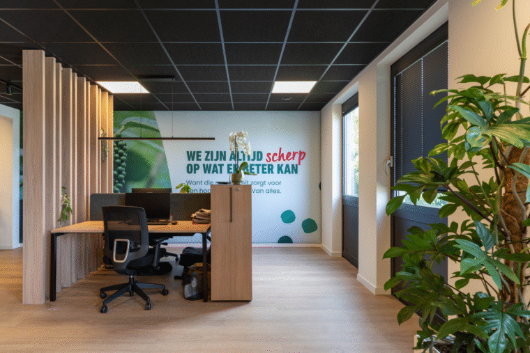 Totaalrenovatie: Verstegen 1 6