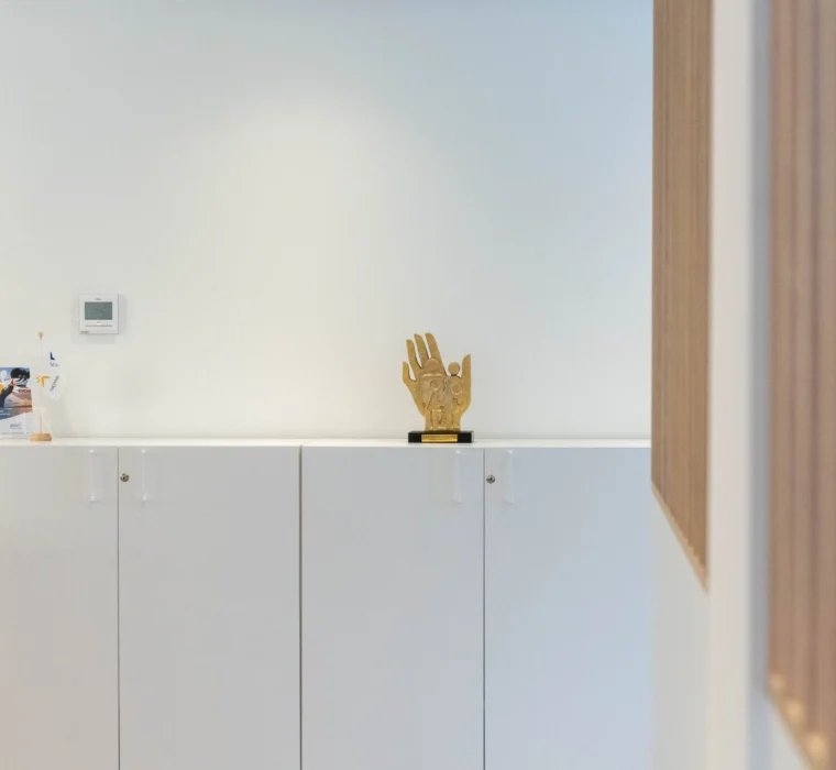 Toon De Somer VDN Niel 6